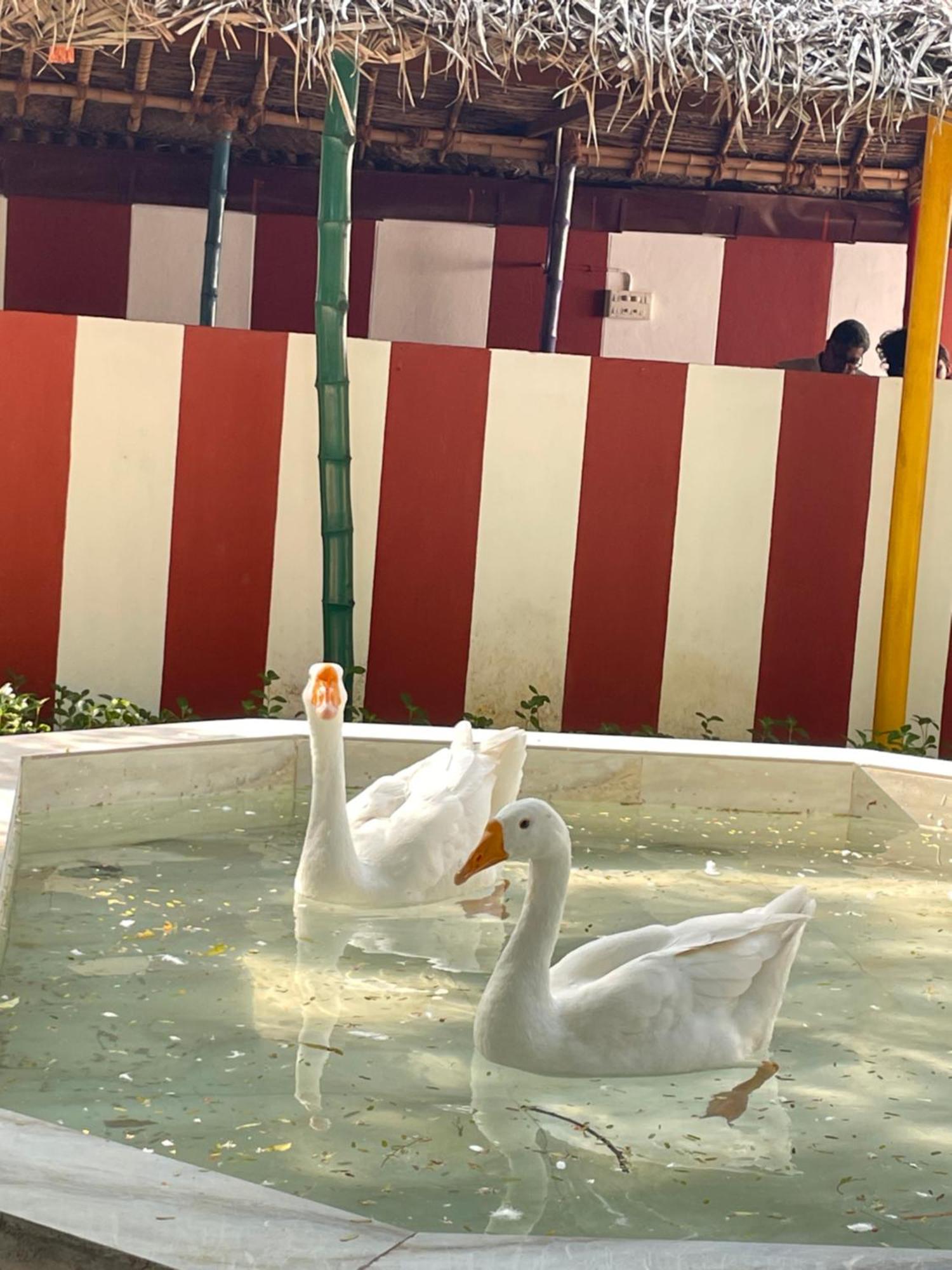 Chola Heritage Resort Karaikudi Kültér fotó