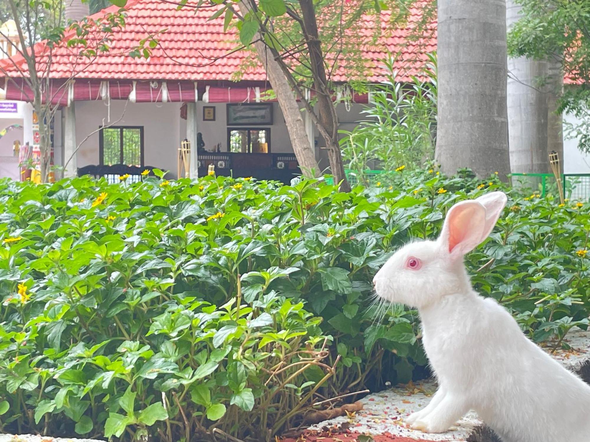 Chola Heritage Resort Karaikudi Kültér fotó